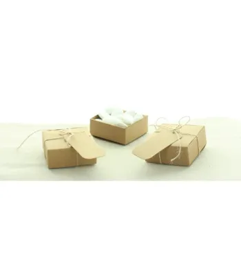 Boite Carré Kraft (*10)