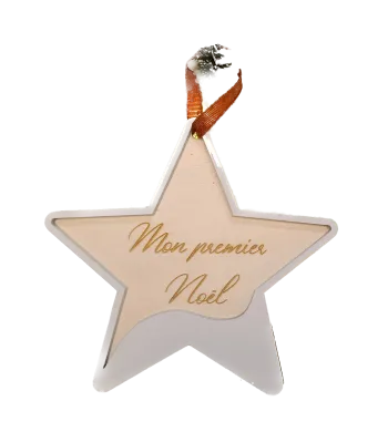 Boule étoile enneigée